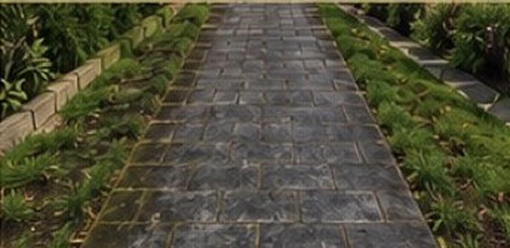 Driveway Revival before cleaning