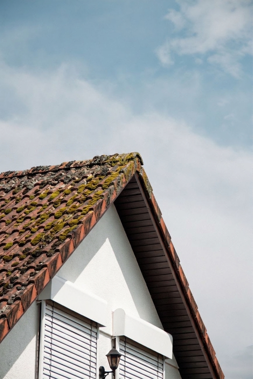Roof Demoss before cleaning